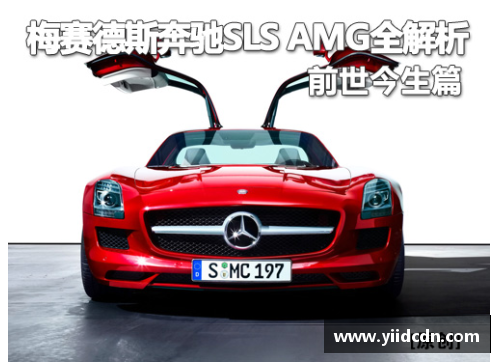 新葡萄8883AMG全红婵丢冠原因出炉！郭晶晶说出真相，何威仪暖心安慰