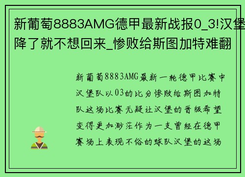 新葡萄8883AMG德甲最新战报0_3!汉堡降了就不想回来_惨败给斯图加特难翻盘 - 副本