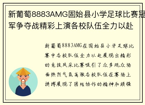 新葡萄8883AMG固始县小学足球比赛冠军争夺战精彩上演各校队伍全力以赴展现风采