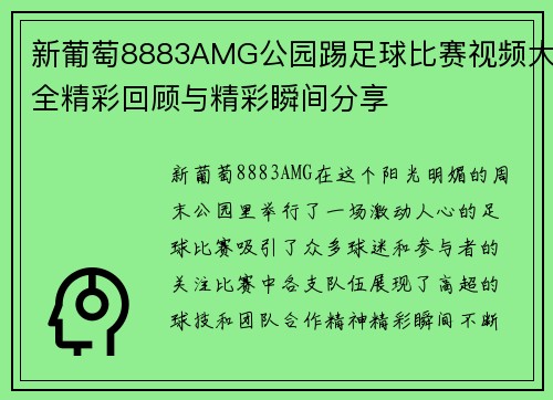 新葡萄8883AMG公园踢足球比赛视频大全精彩回顾与精彩瞬间分享