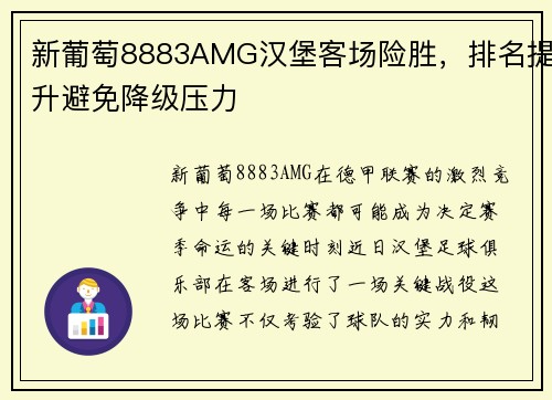 新葡萄8883AMG汉堡客场险胜，排名提升避免降级压力