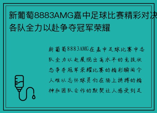 新葡萄8883AMG嘉中足球比赛精彩对决各队全力以赴争夺冠军荣耀